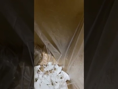 rociador del disparador